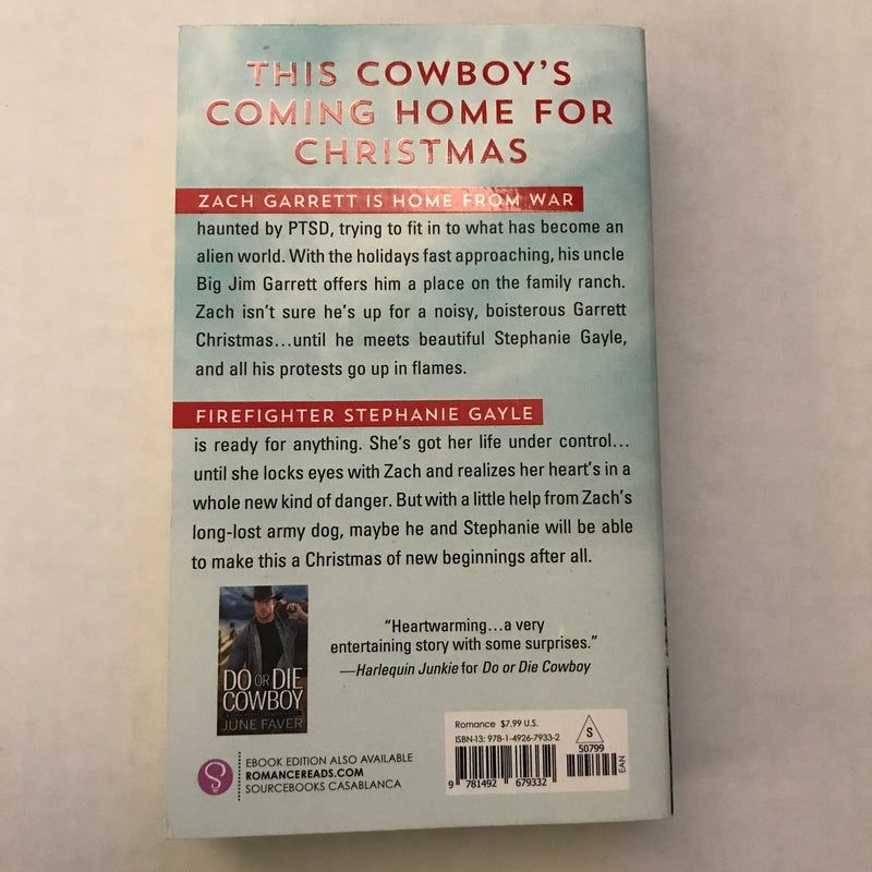 Cowboy Christmas Homecoming