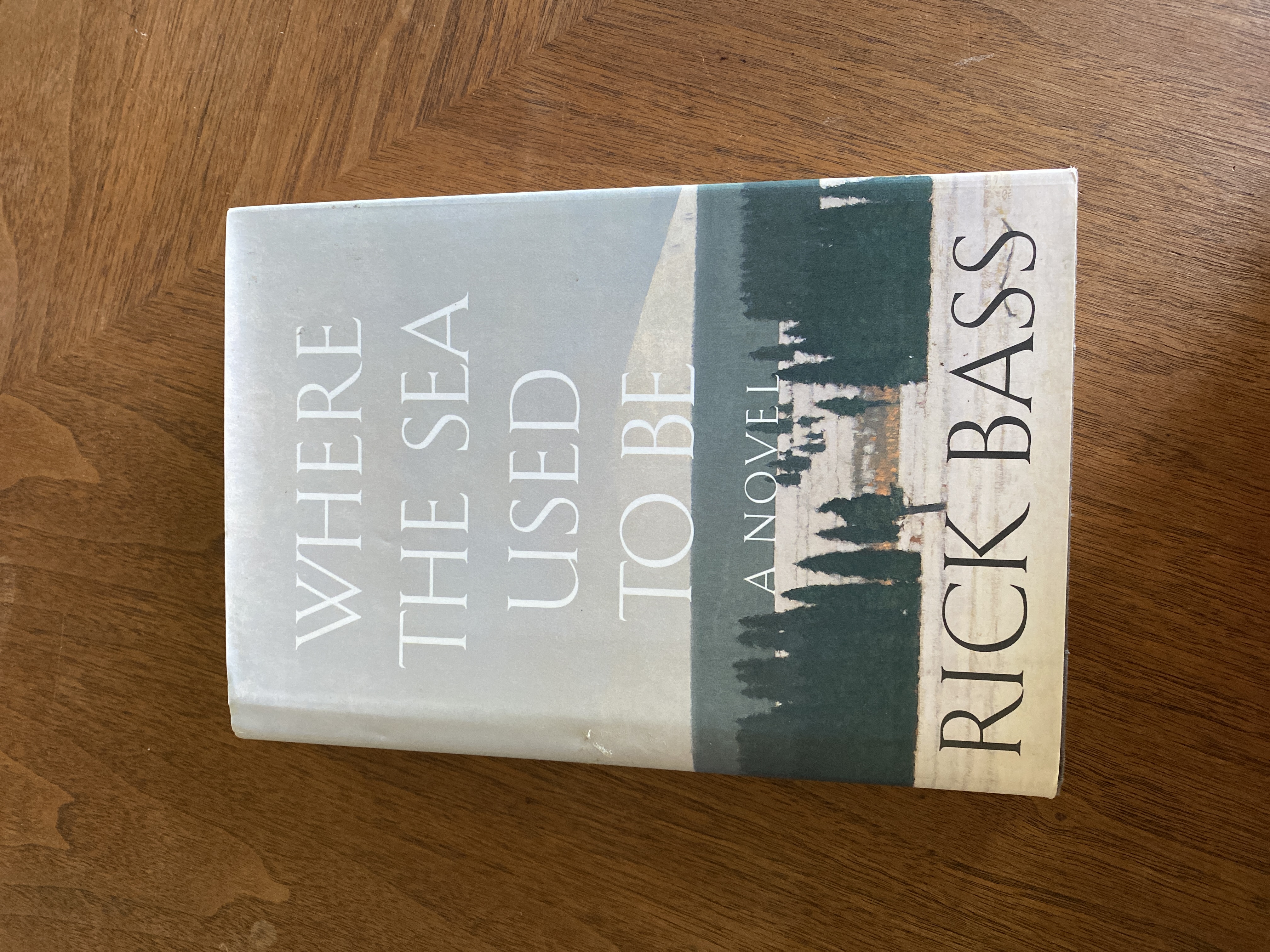 Where the Sea Used to Be