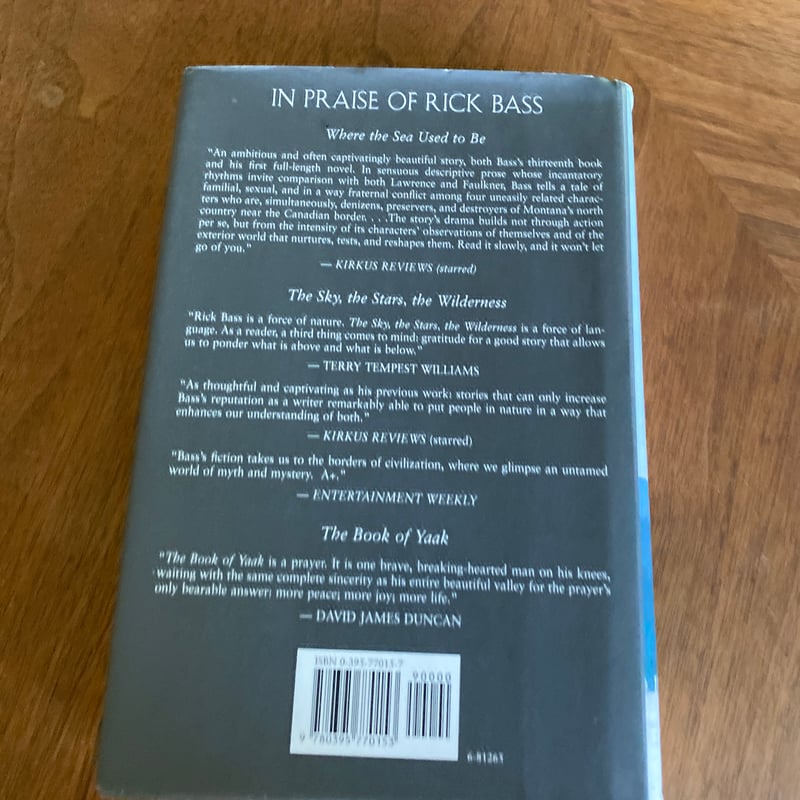 Where the Sea Used to Be