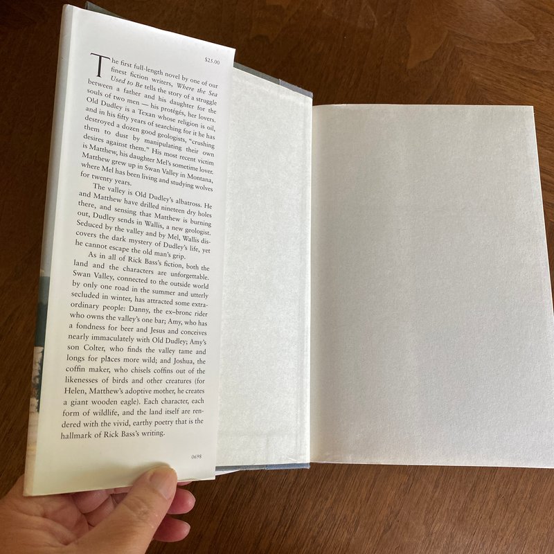 Where the Sea Used to Be