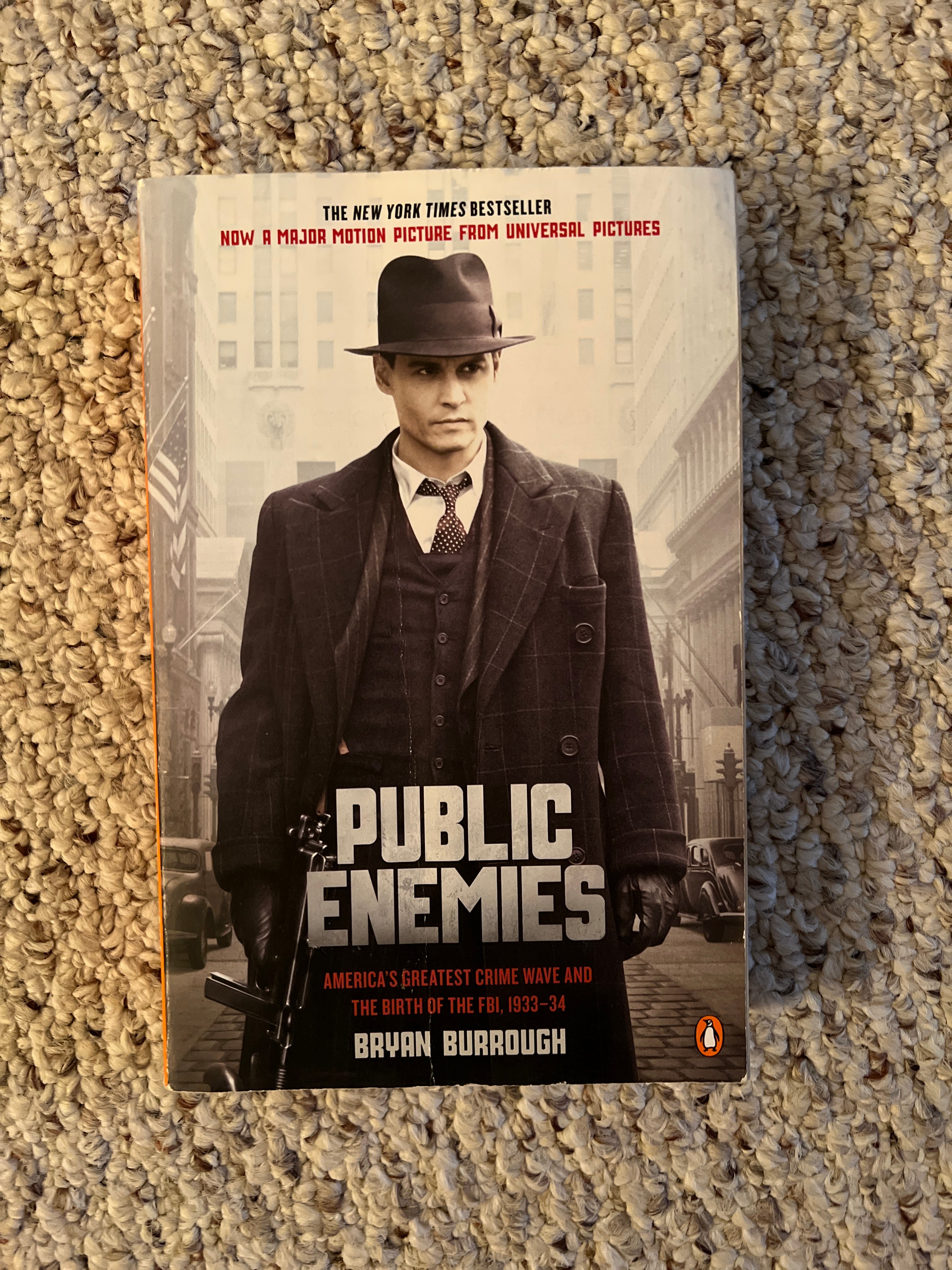 Public Enemies