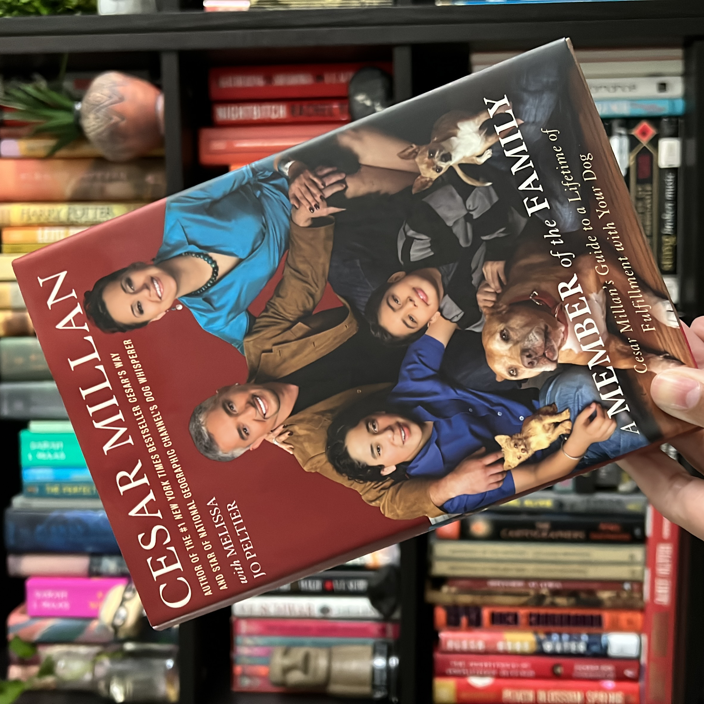 A Member of the Family