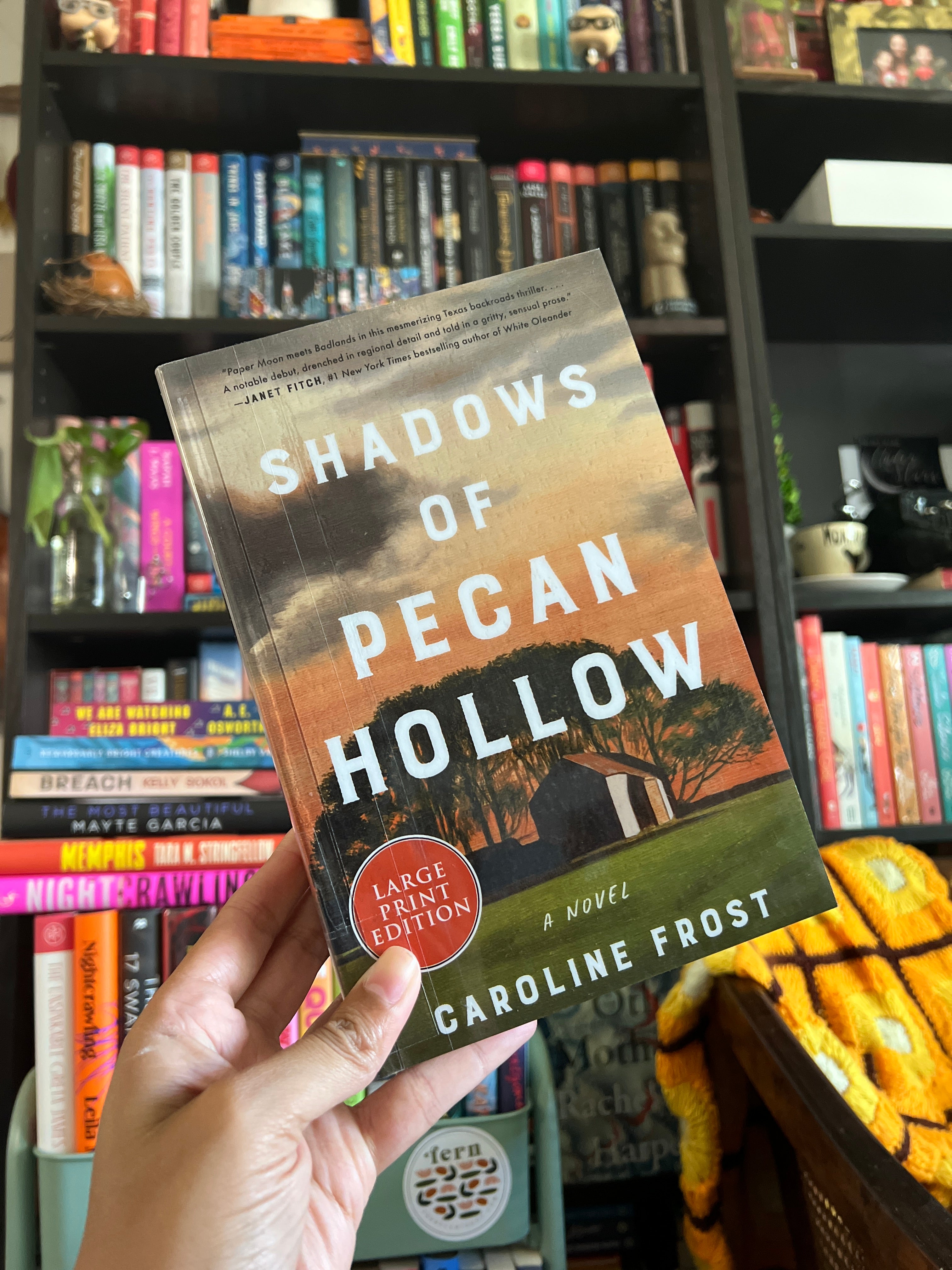 Shadows of Pecan Hollow