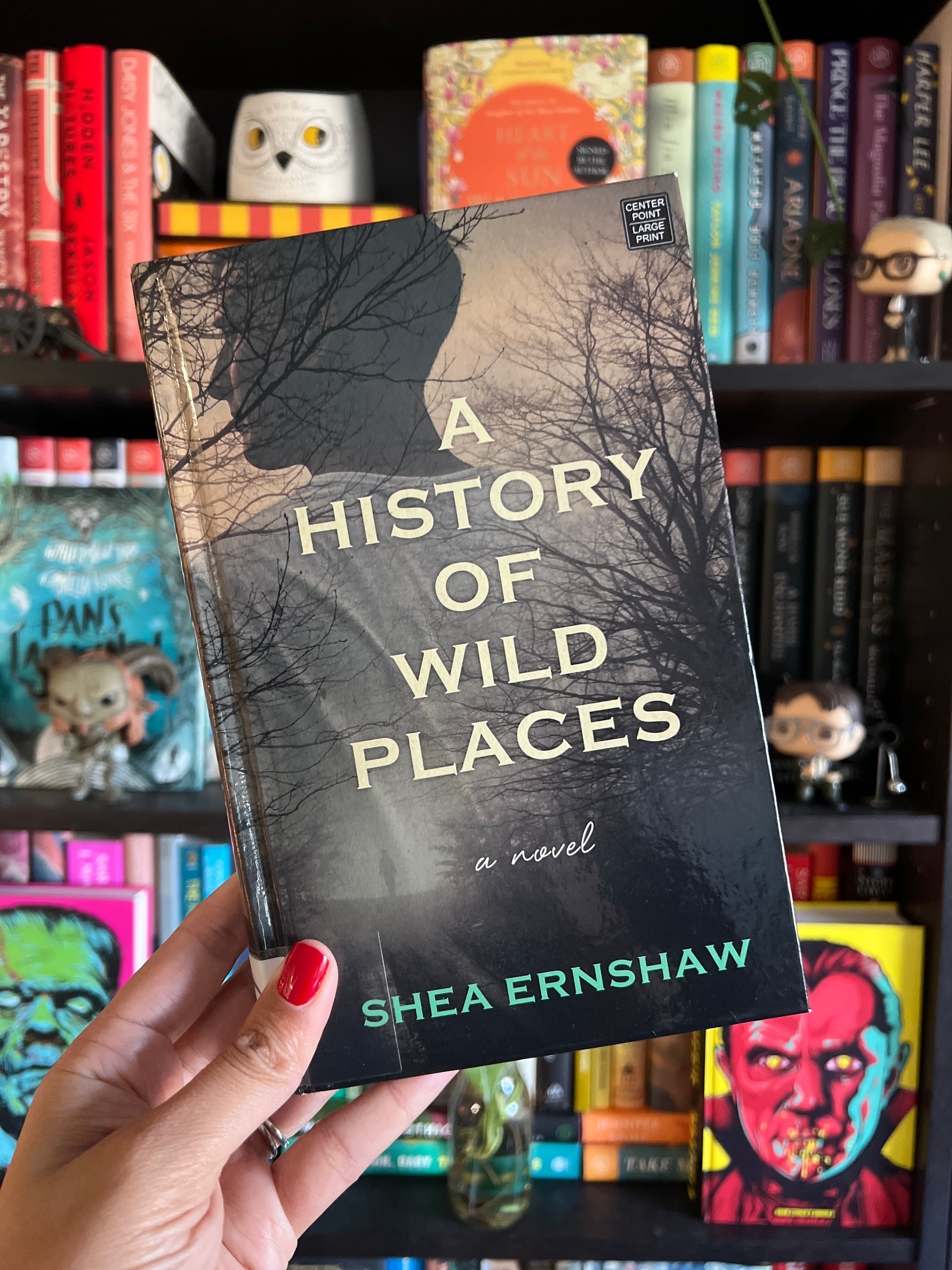 A History of Wild Places