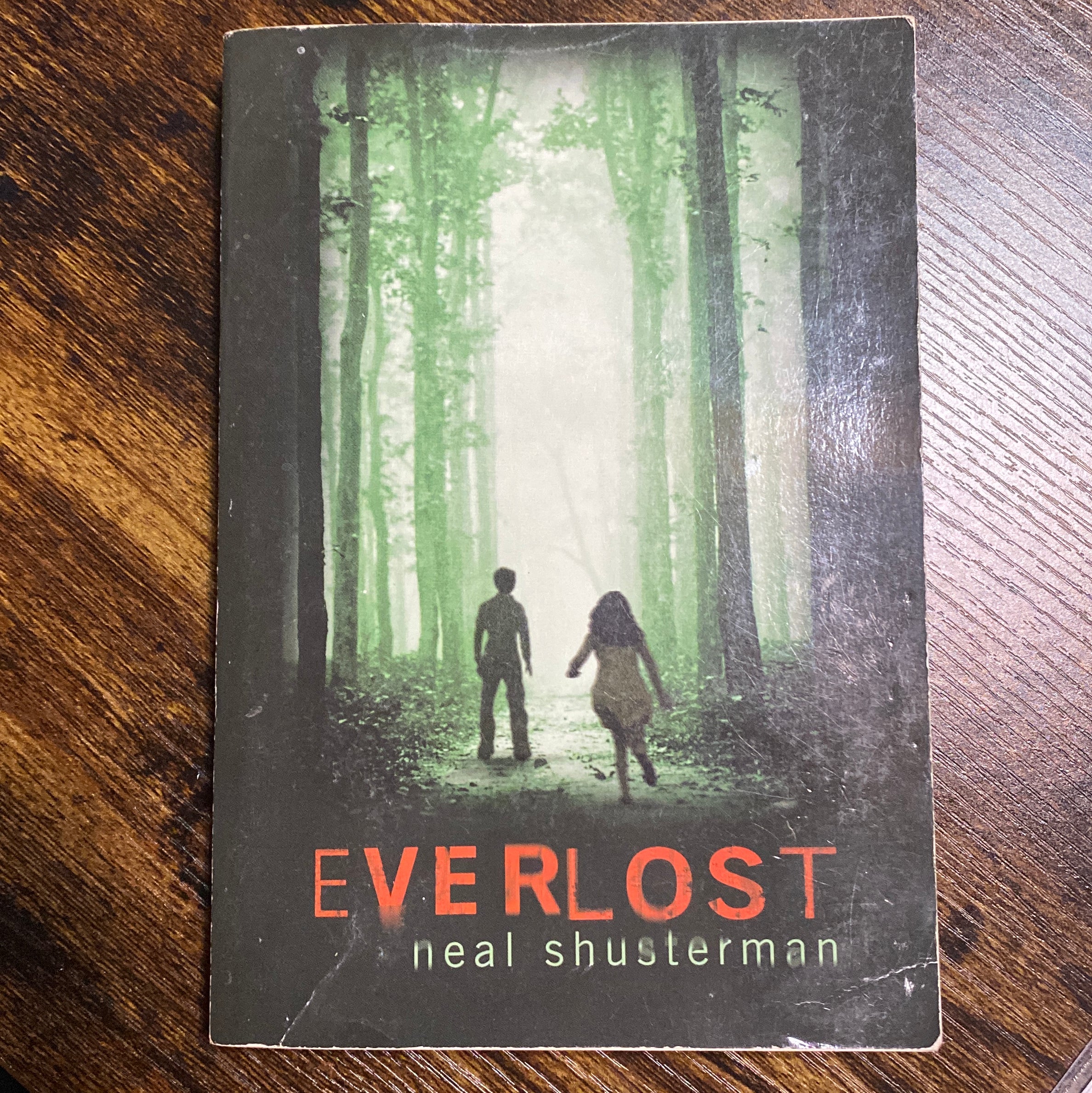 Everlost　by　Neal　Shusterman,　Paperback　Pangobooks
