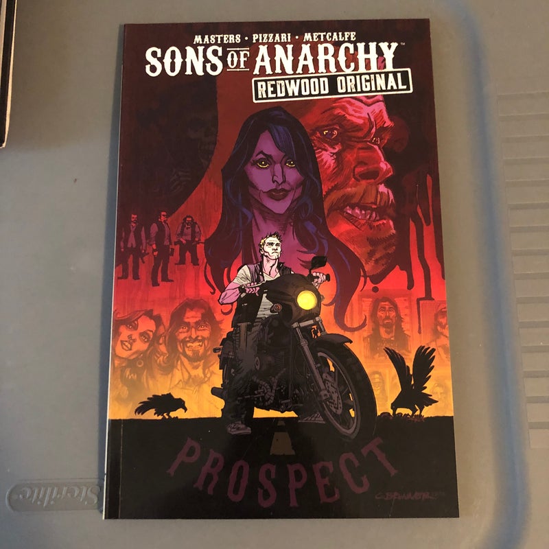 Sons of Anarchy: Redwood Original Vol. 1