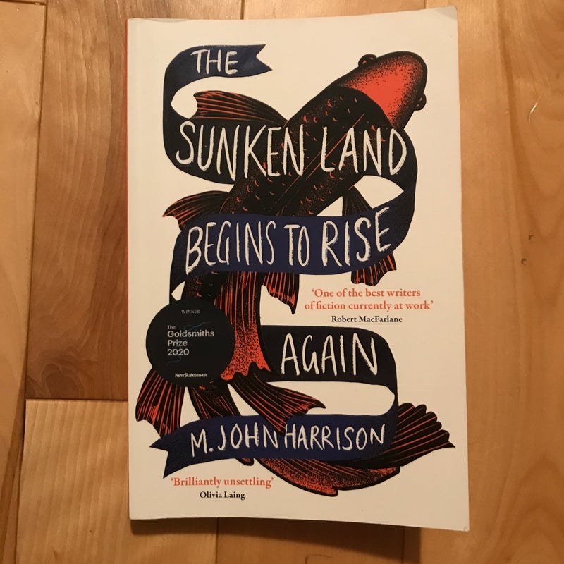 The Sunken Land Begins to Rise Again by M. John Harrison