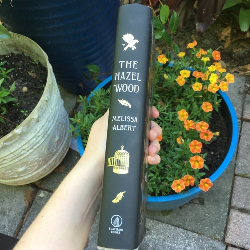 The Hazel Wood