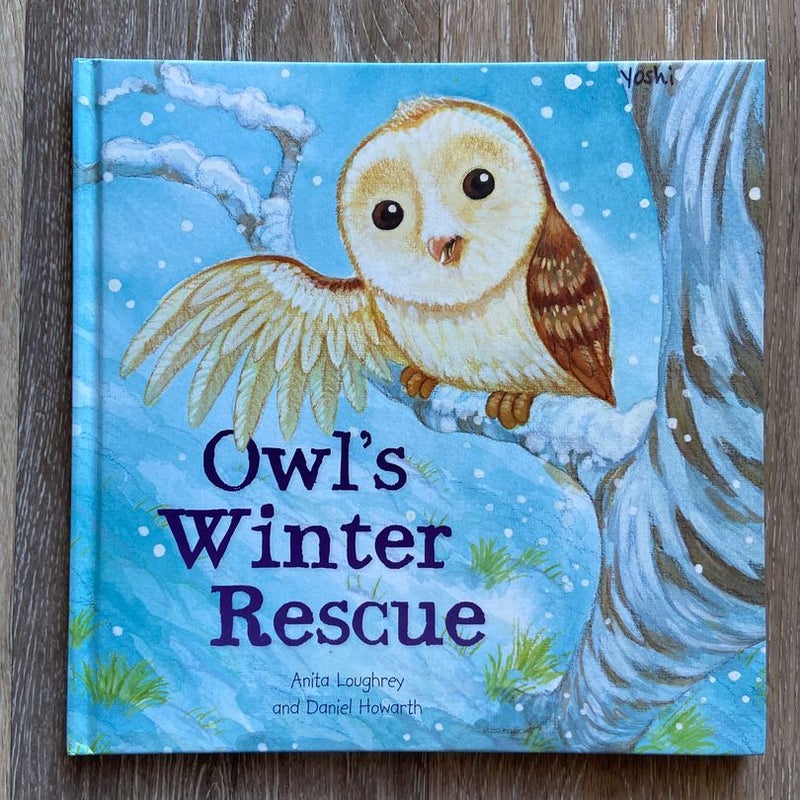 Owl's Winter Rescue