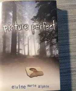 Picture Perfect