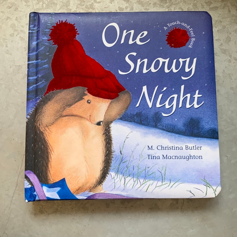 One Snowy Night