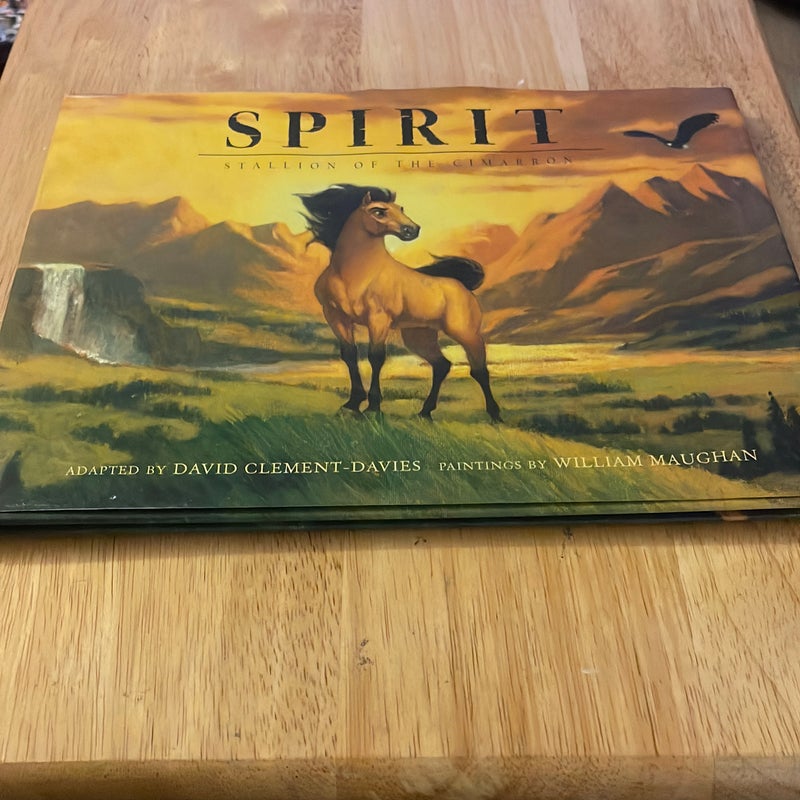 Spirit