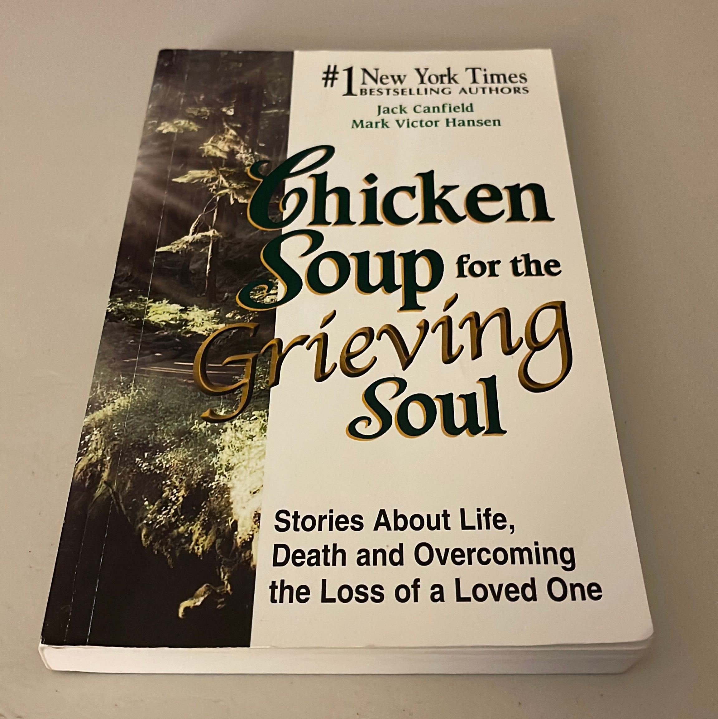 Chicken Soup for the Grieving Soul