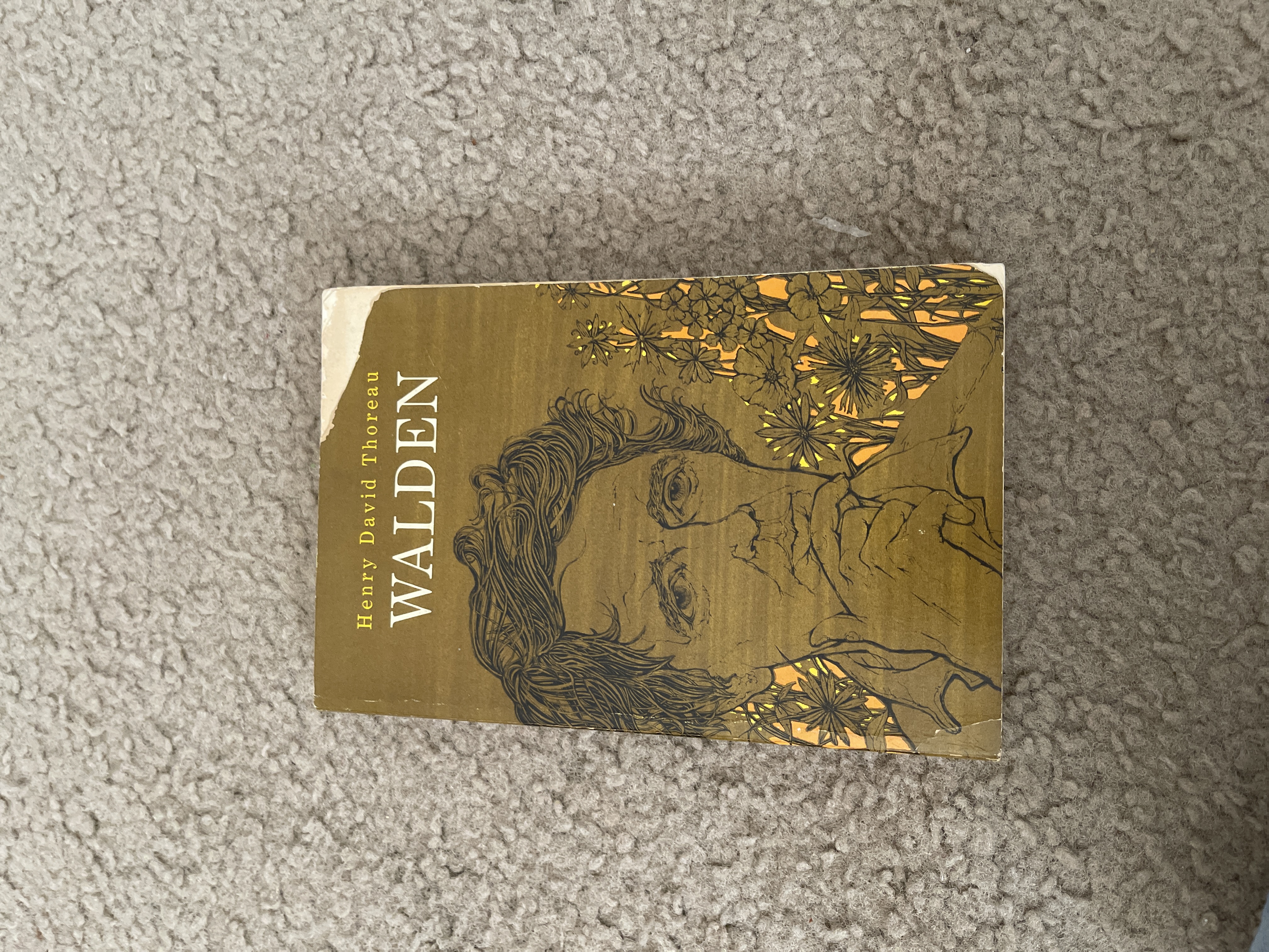 Walden 
