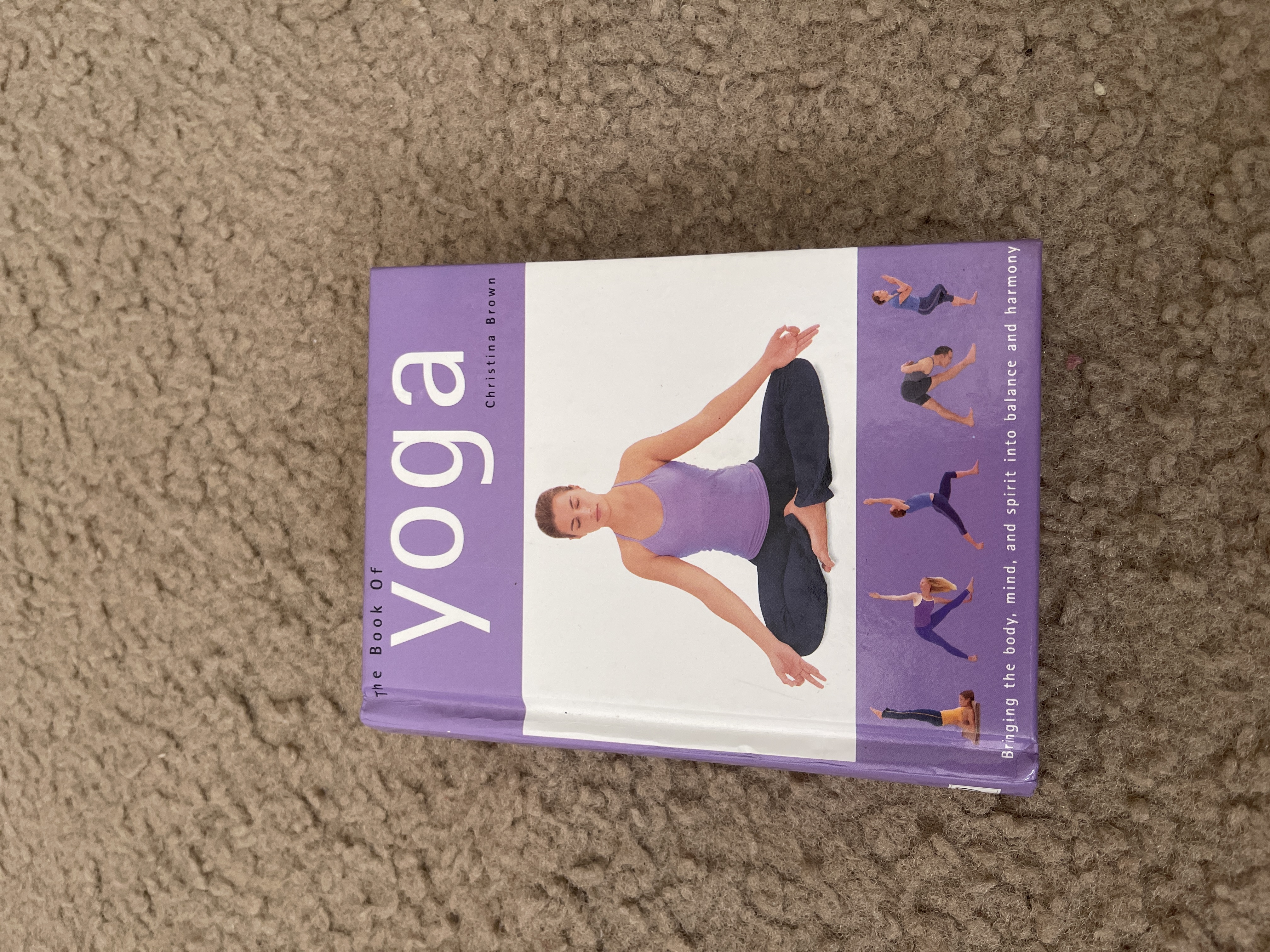 The Book of Yoga
