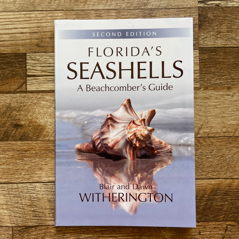 Florida's Seashells