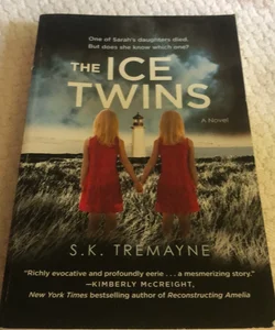 The Ice Twins