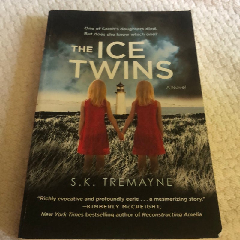 The Ice Twins