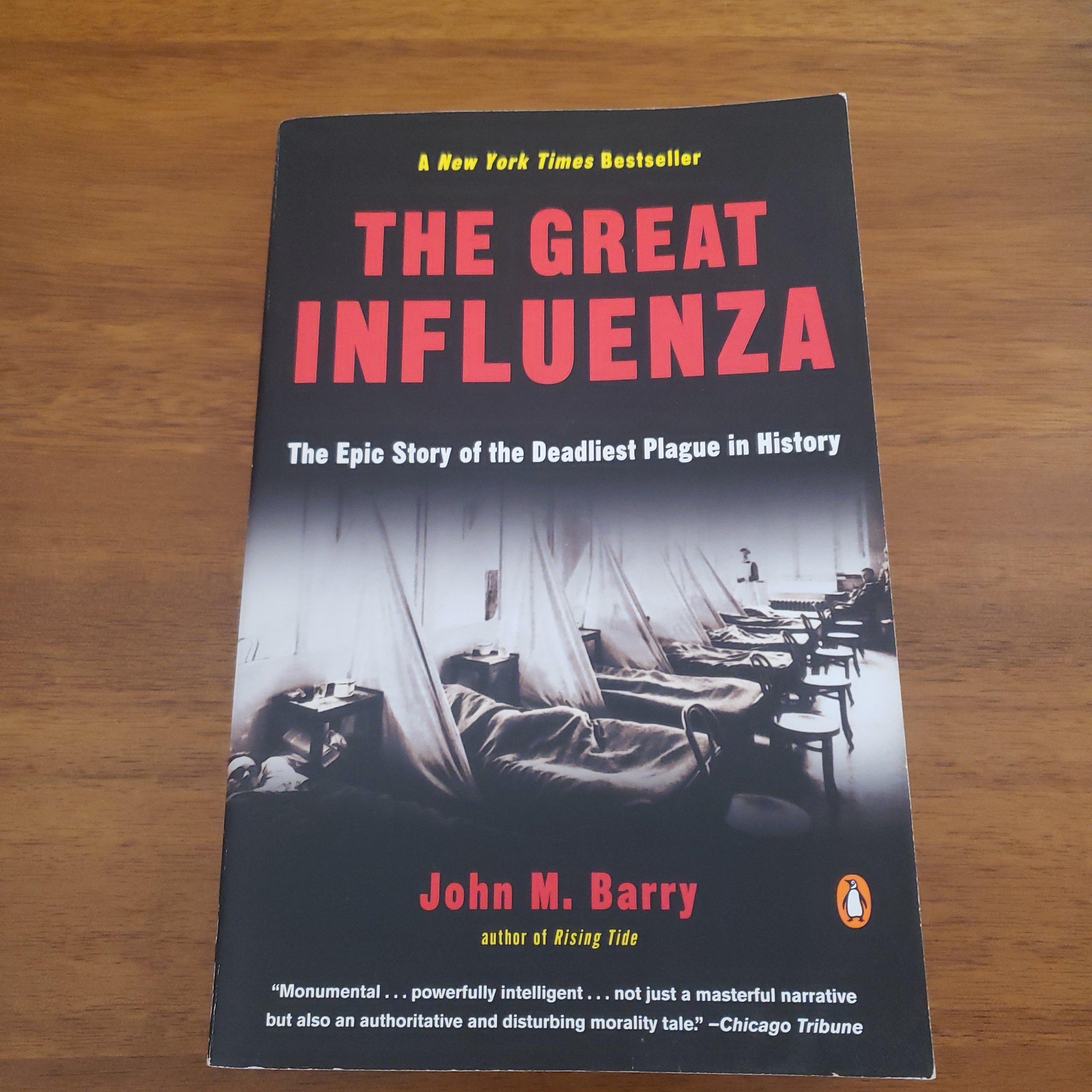 The Great Influenza