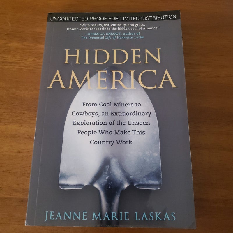 Hidden America