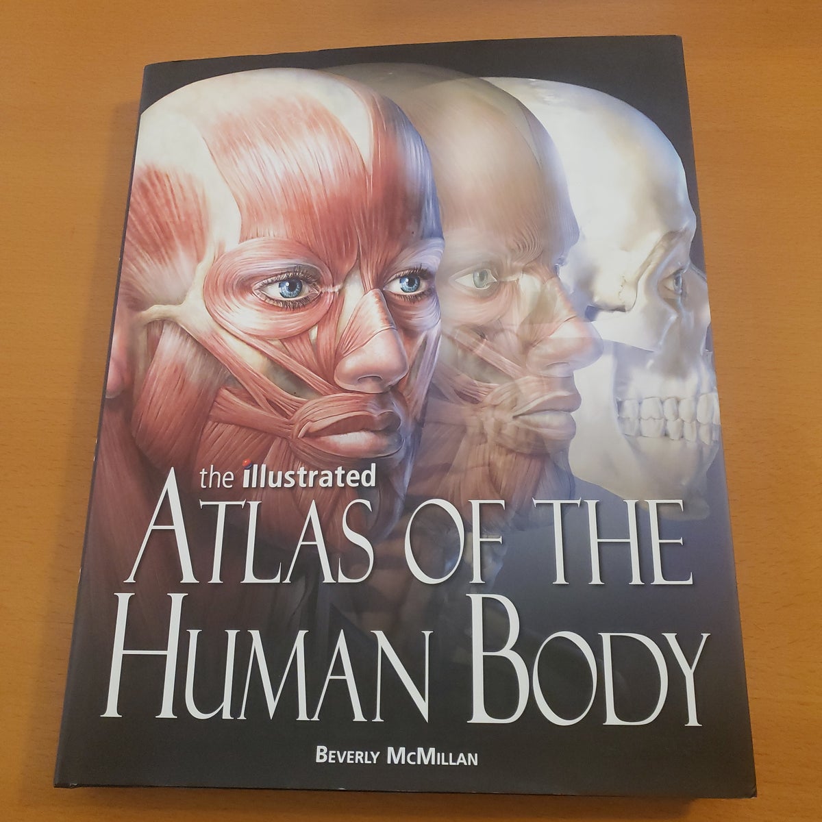 The Illustrated Atlas of the Human Body