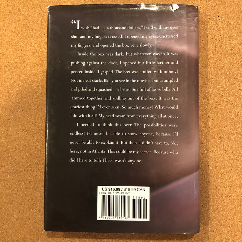 Bigger Than a Bread Box by Laurel Snyder, Hardcover Pangobooks