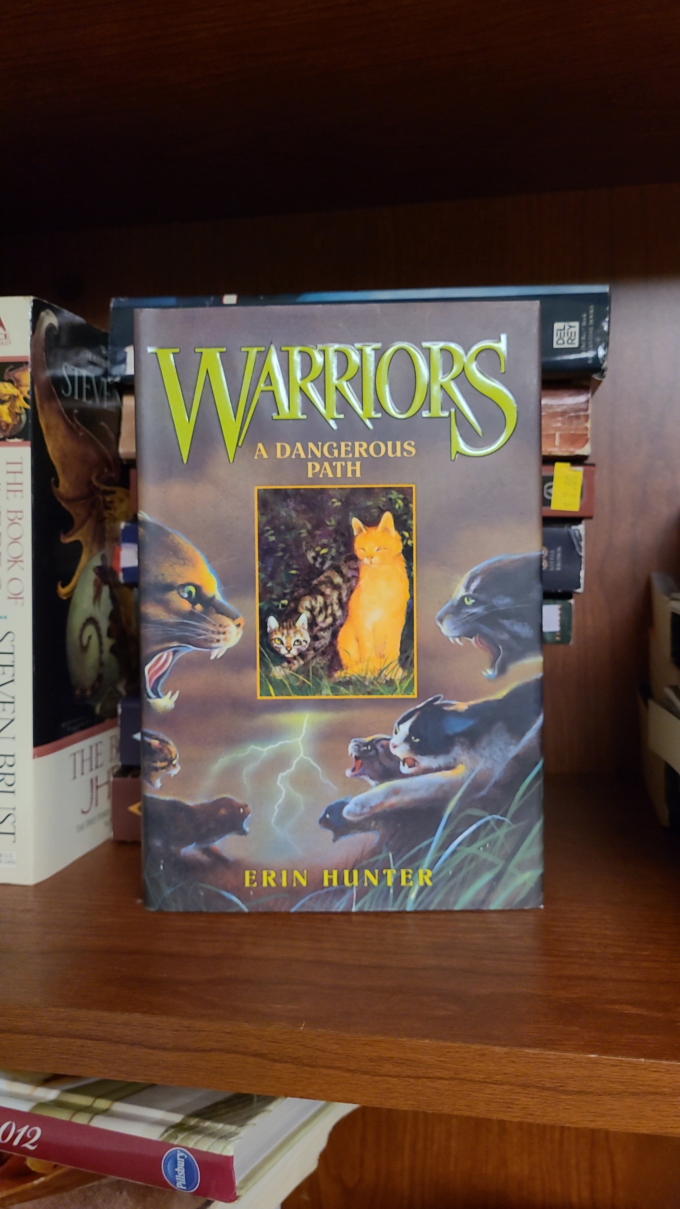 Warriors #5: a Dangerous Path