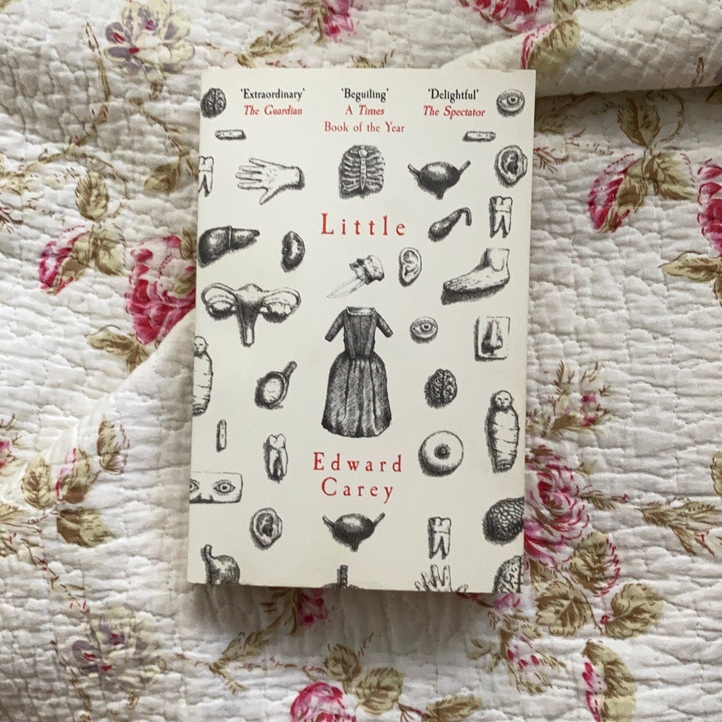 Little: a Times and Sunday Times Book of the Year