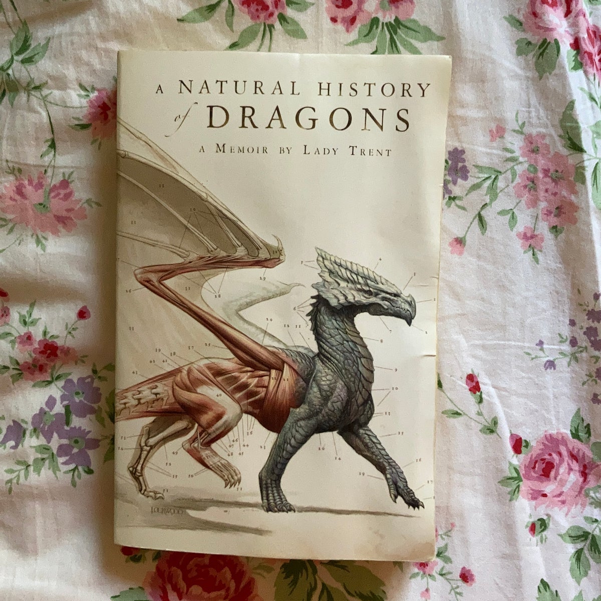 A Natural History of Dragons by Marie Brennan Pangobooks