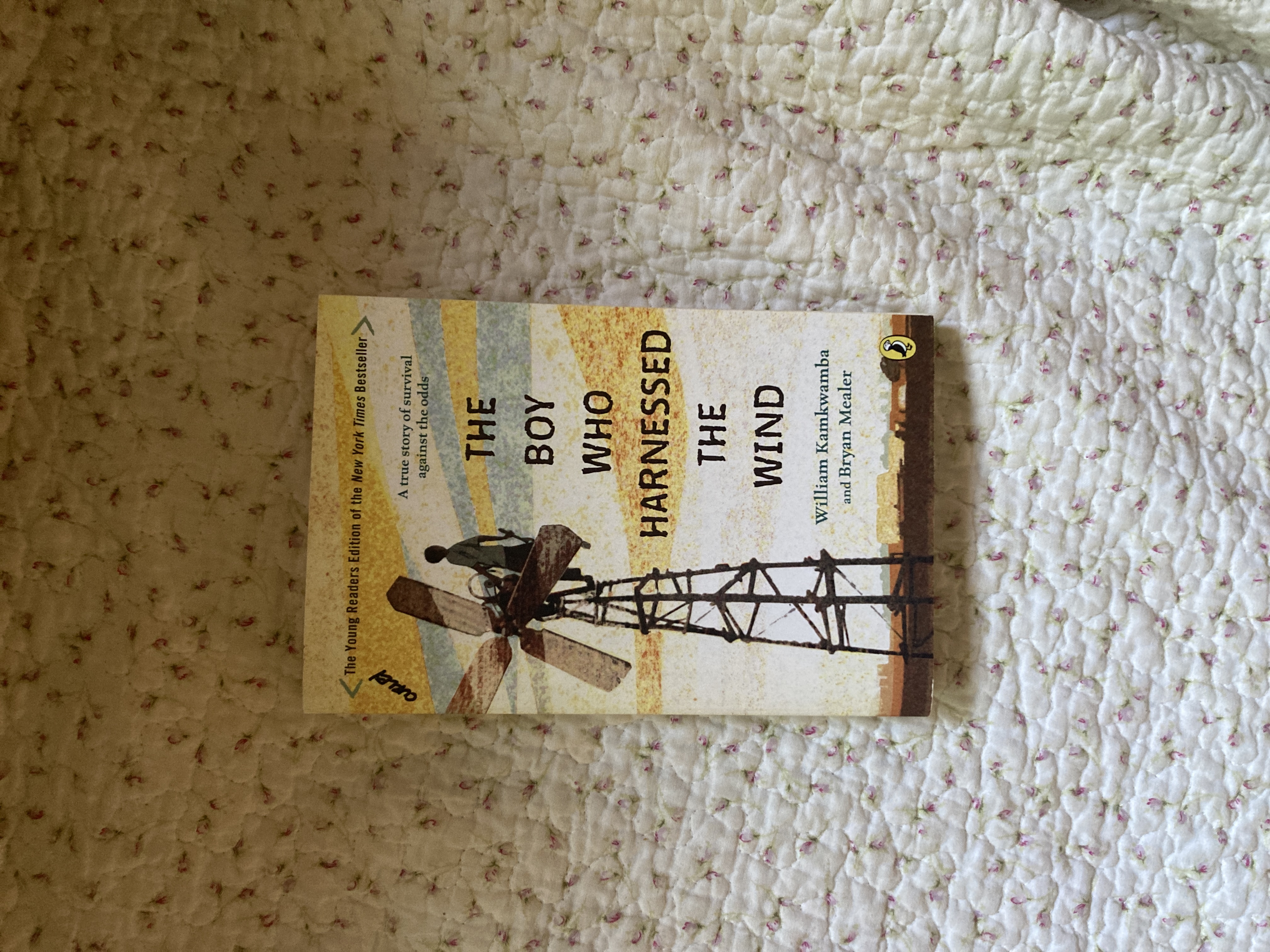 Sale image for 0a95dd00-8fa8-4a7f-85c4-bd38c5c72f15-iwwcL9dRGQQljUNSQIxZJtUlWNc2