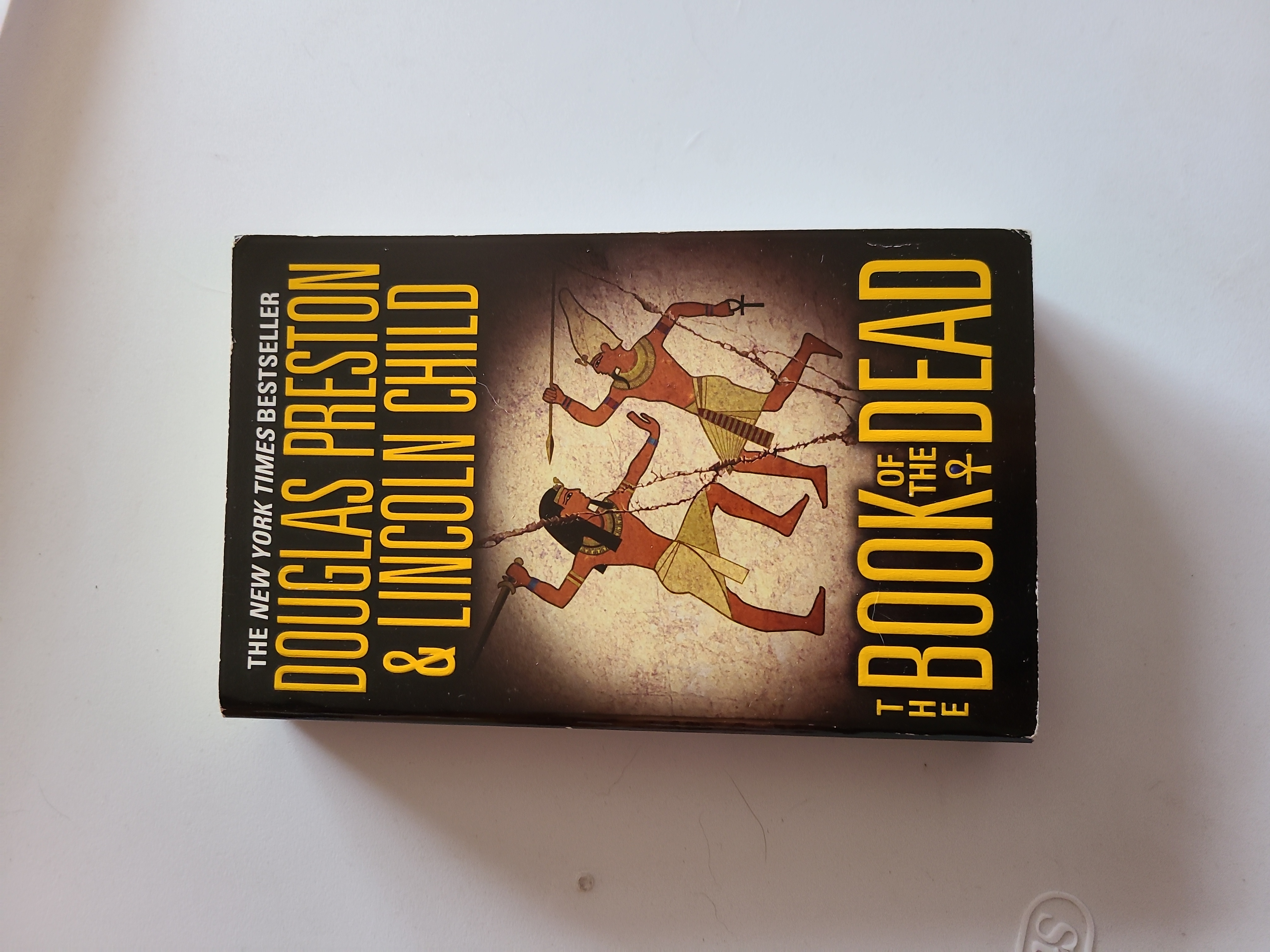 9780446618502 book cover