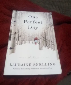 One Perfect Day