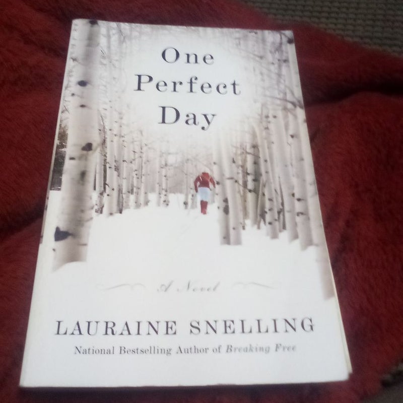 One Perfect Day