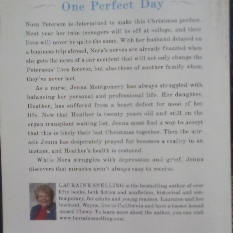 One Perfect Day