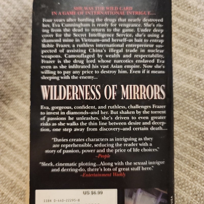 Wilderness of Mirrors