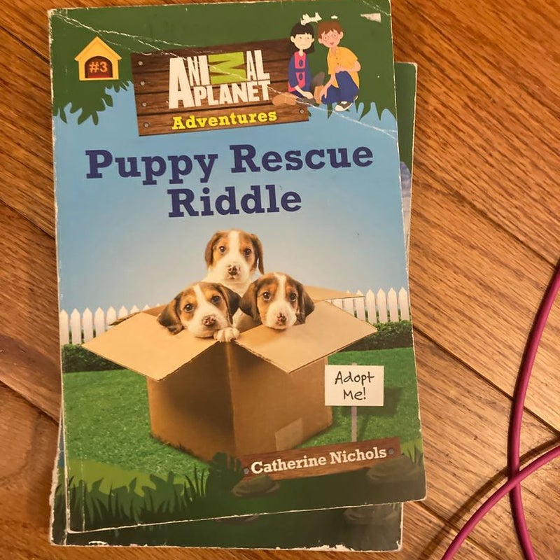 The Bulldogs and Bella: Did She Rescue a Puppy or a Riddle?