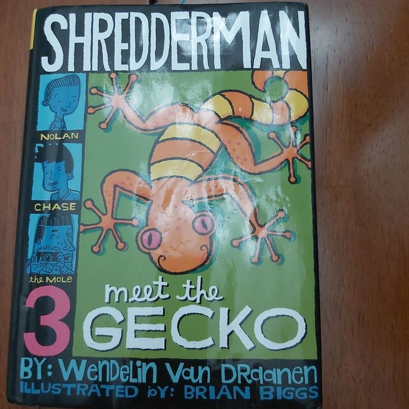 Shredderman: Meet the Gecko