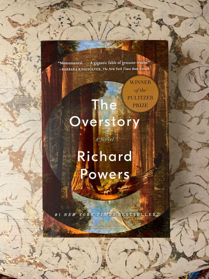 The Overstory