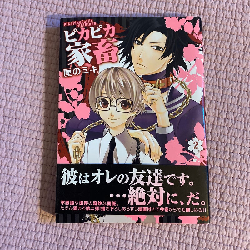 Pika Pika Cattle Manga Volume 2 (ピカピカ家畜)