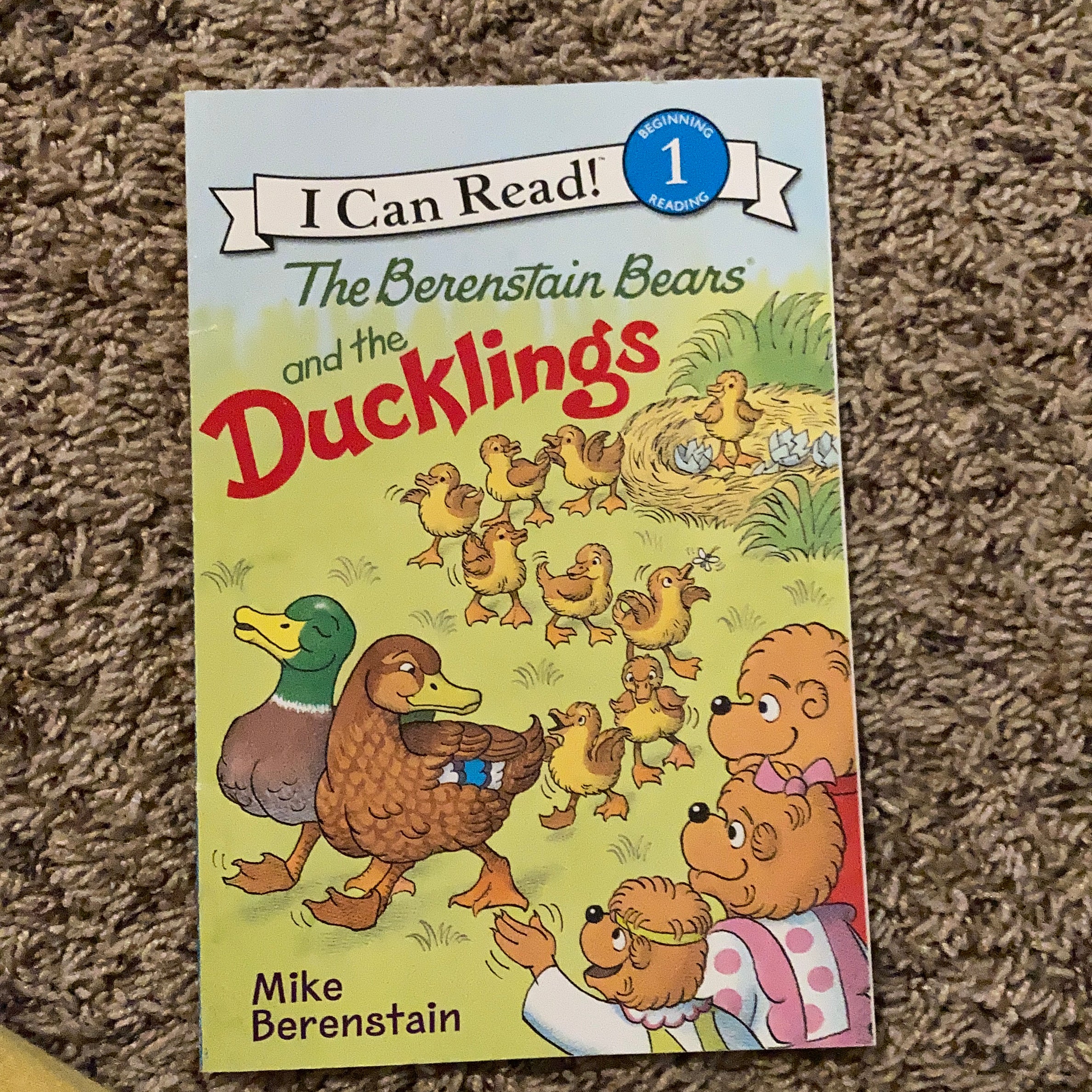 The Berenstain Bears and the Ducklings