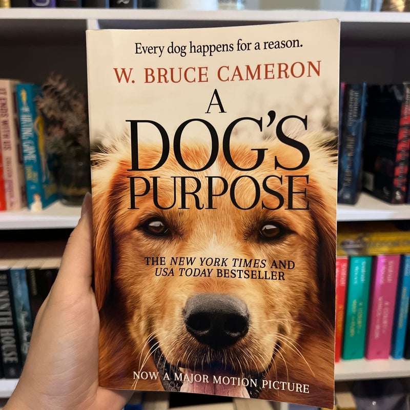 A Dog’s Purpose