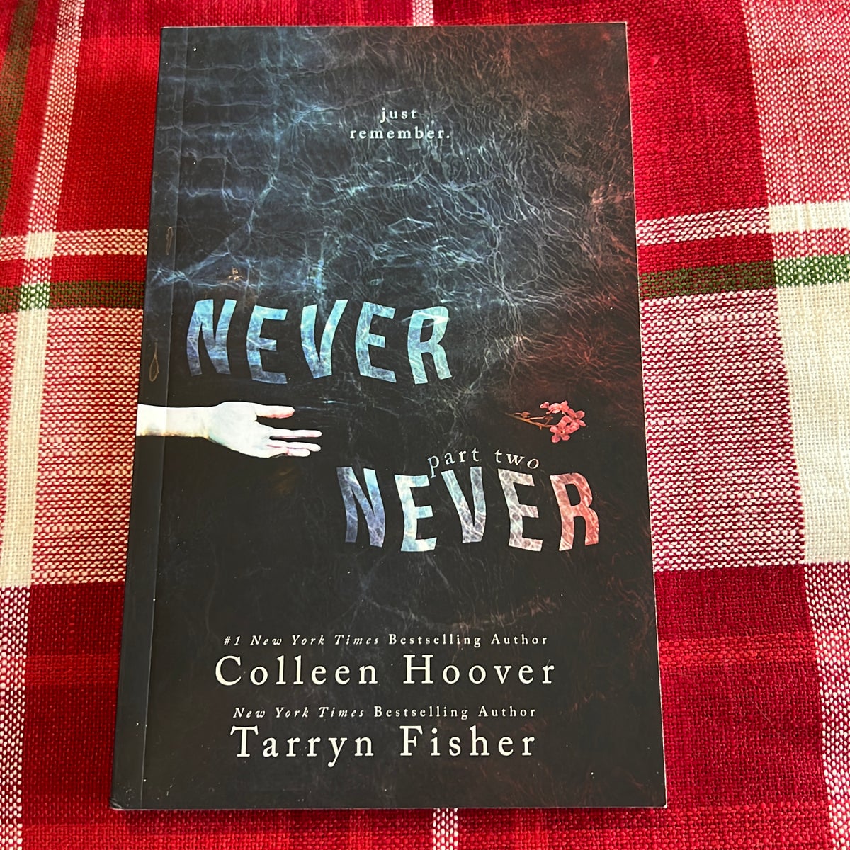 Nunca, nunca 1 - Tarryn Fisher,Colleen Hoover
