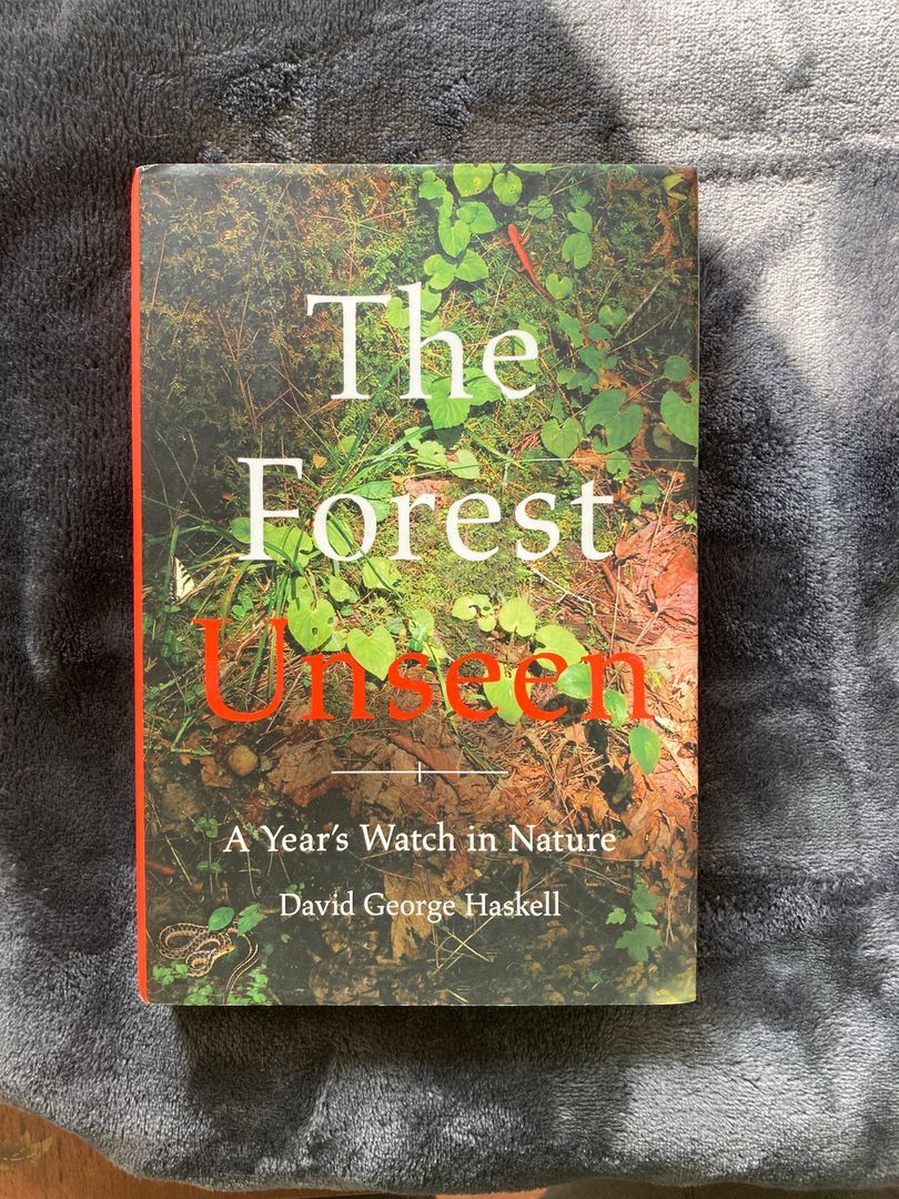 The Forest Unseen