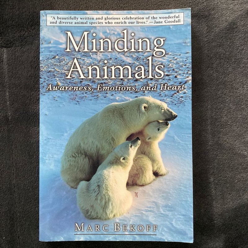 Minding Animals