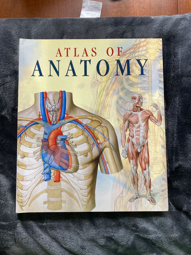 Atlas of Human Anatomy