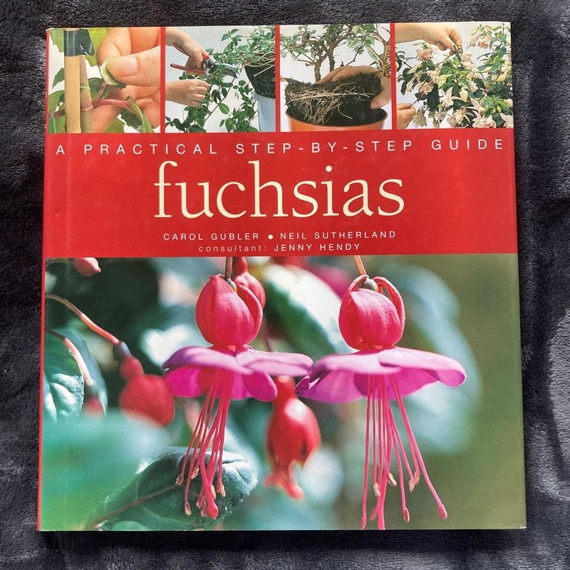 Fuchsias