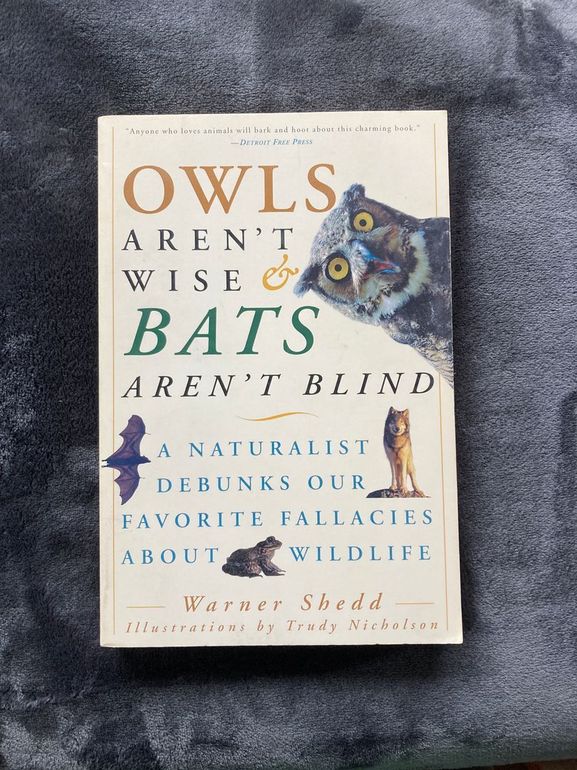 Owls Aren't Wise and Bats Aren't Blind