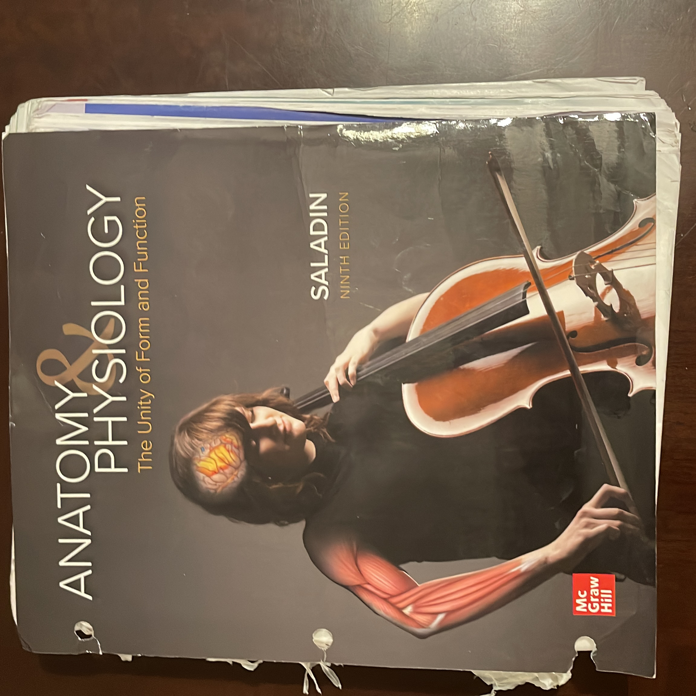 Loose Leaf for Anatomy & Physiology: the Unity of Form and Function by ...