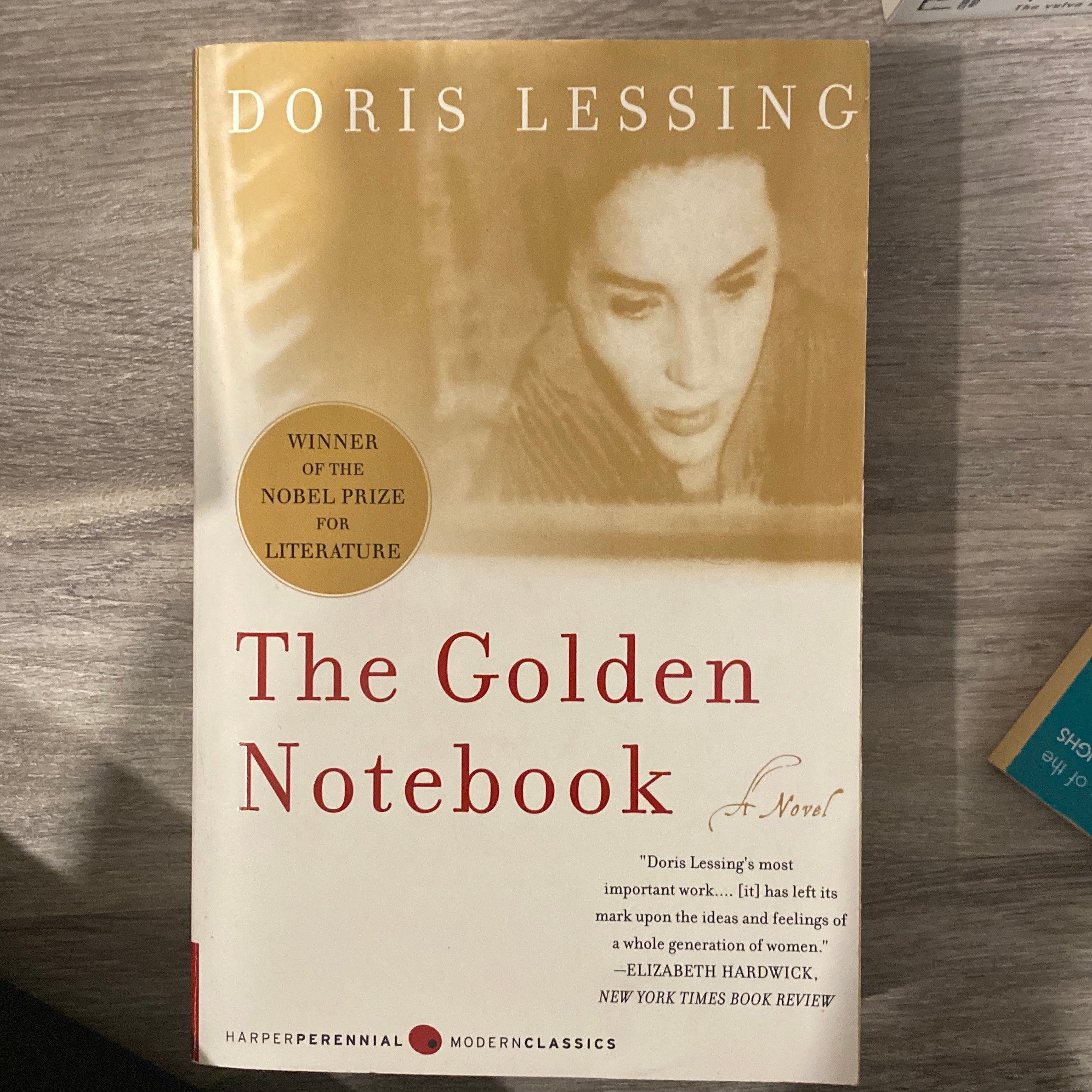 The Golden Notebook