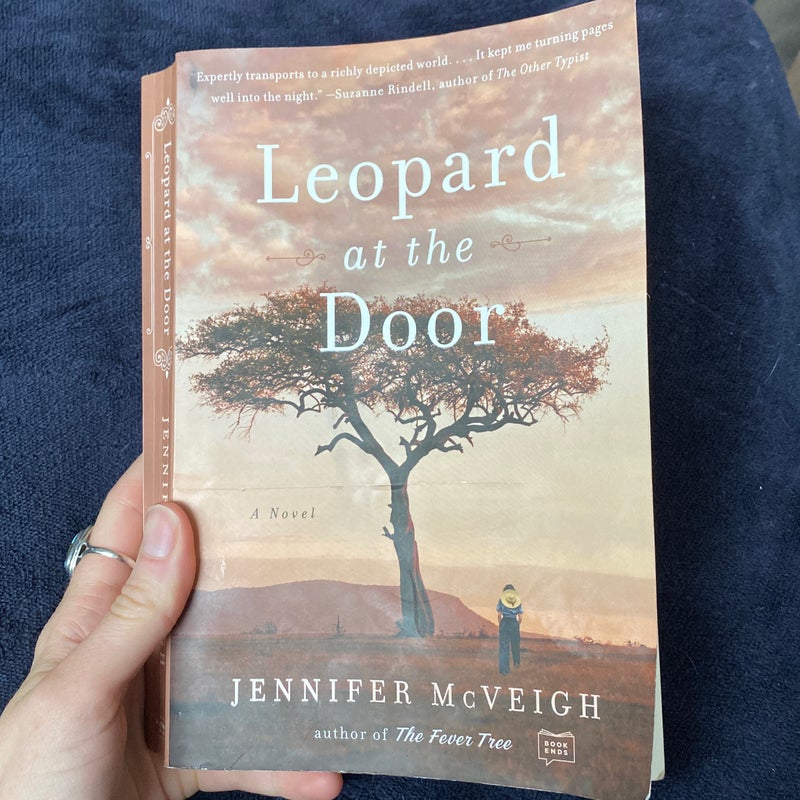 Leopard at the Door